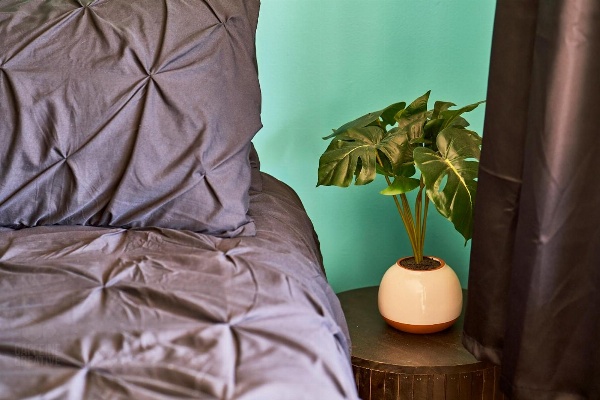 Marvin Gardens Motel Old Orchard Beach image 4