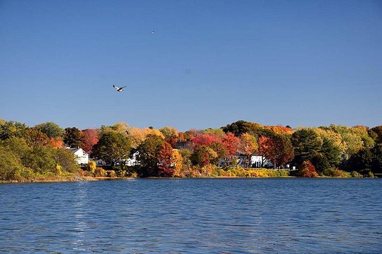 Tour image 3